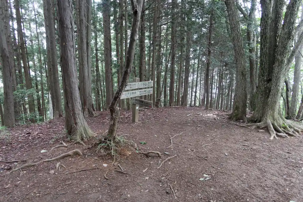 雌岳山頂に到着。ここはそんなに広くないし眺望もないので、大抵の人は雄岳に向かいます。