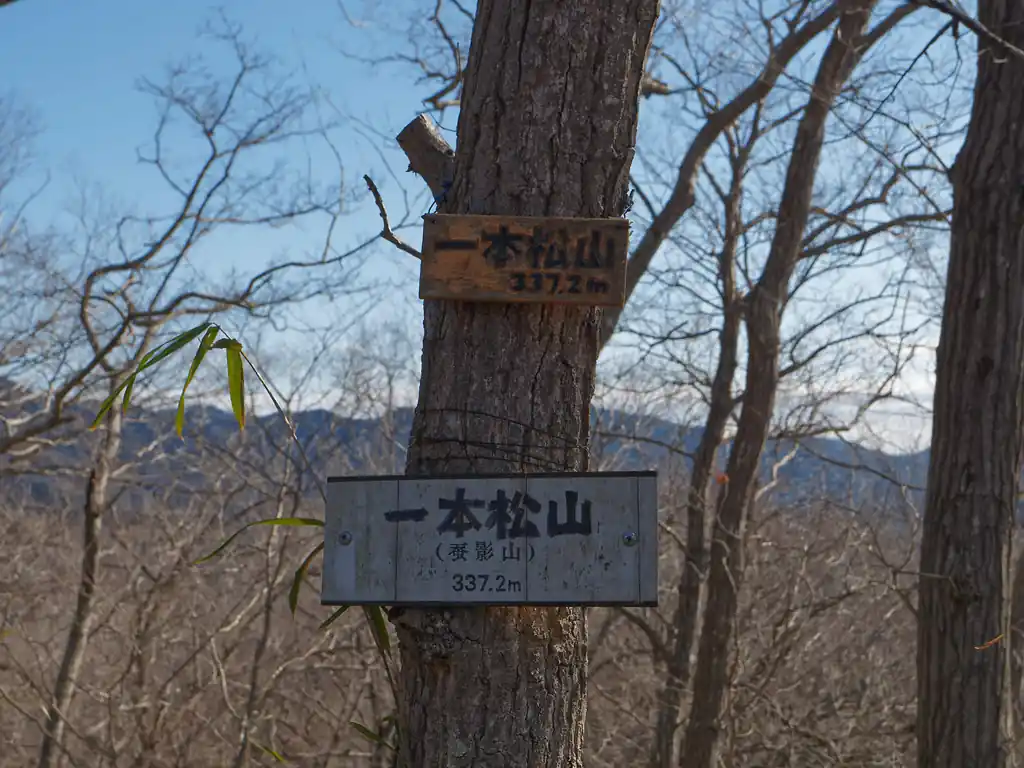 一本松山。
古峯山手前の四叉路ですれ違った登山者にここで追いつく。
一本松山山頂は少しばかり広く休憩できそうだが、まだまだ先は長いため、休憩せず次の山へ。