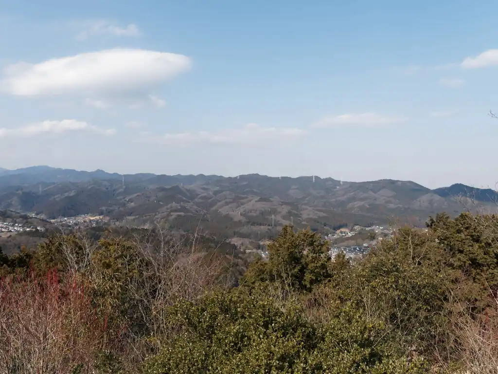 こっちは日和田山とか顔振峠とかの西武線北側の稜線。