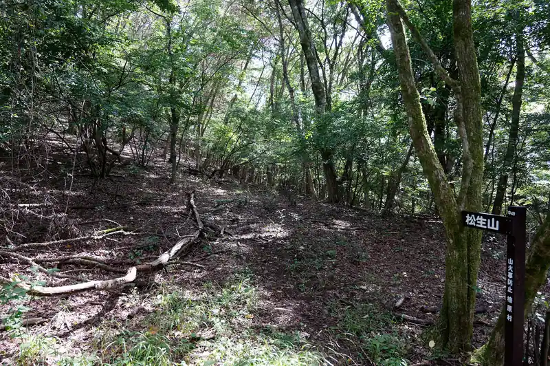 見晴台から東へ歩いていって、入沢山への登り。
このあたりは踏み跡がなく、本当に大丈夫なんだろうか？と思ったのだが、時間もあるし行ってみるかと歩き始める。
少し進んだところで薄っすらと踏み跡が見え始め、坂を登るところでは割と明瞭につづら折りに登る踏み跡が見える。