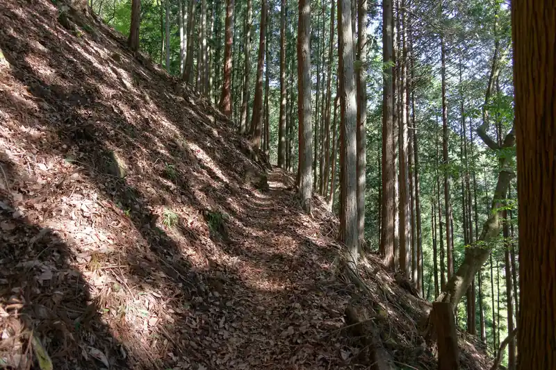 ある程度登ったら平坦になりトラバース道へ。

この先からまた急坂を登って尾根上に復帰することになる。