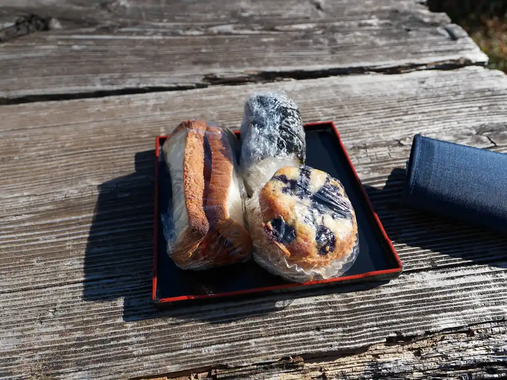 堂平山では、おばちゃんがこれまた軽自動車で食べ物を販売している。
今までこの移動販売を利用したことはなかったのだが（自前で食事持っていくし）、今回は折角なので利用してみた。
12時過ぎの到着で、豚汁等は既に売り切れていたので、塩むすび、焼サンド、ブルーベリーケーキの三つを購入。五百円でお釣りが来る価格設定だった。どれも美味しかった。