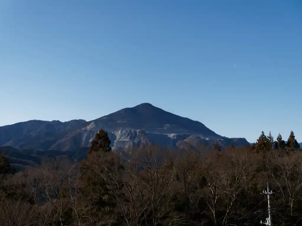 本日の武甲山。