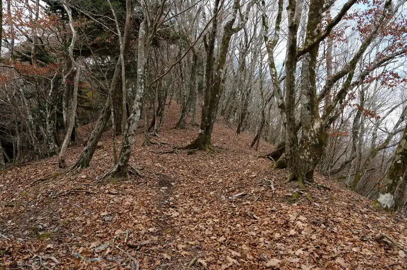 地味に登りっぱなしなのがつらいところ。