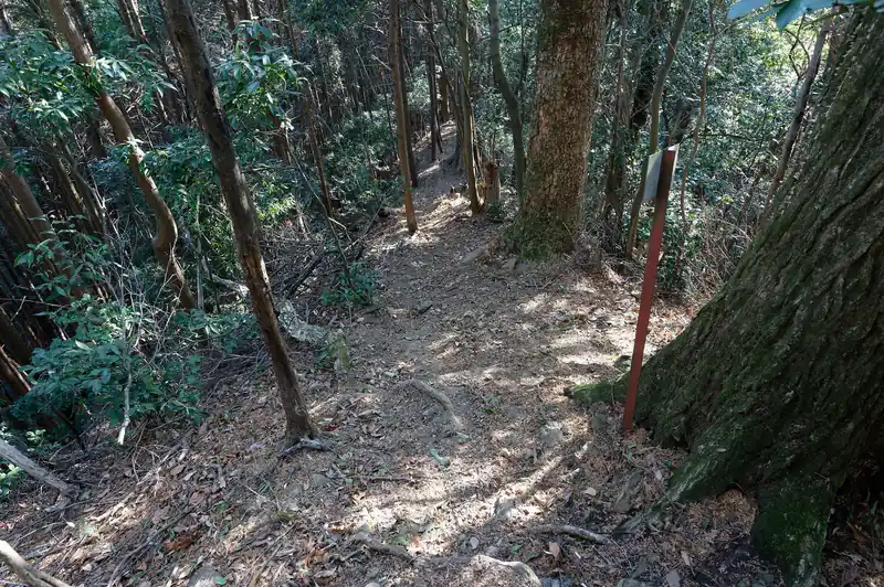 このあたりで小さいイノシシと遭遇。
私はラジオをつけていたんですが、イノシシはルンルン気分で歩いていたので気づかなかったんでしょうか。
目があった瞬間にイノシシは猛ダッシュで写真右側の急斜面を下ってどこかへ消えていきました。