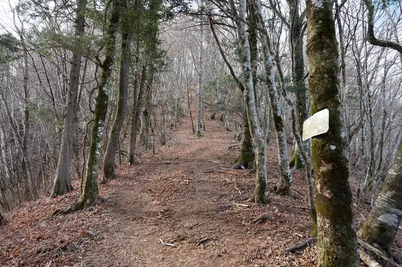 いよいよ御正体山への登りが始まる…！