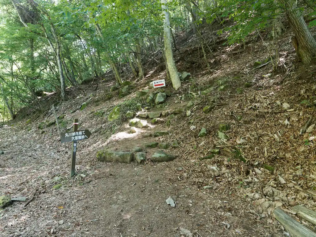 ここから登山道です。登山道に入った後は指導標とか特にない一本道（ただ迷いやすそうなところには進入禁止のロープが張ってある）なんですが、登山道に入るまでは親切設計です。