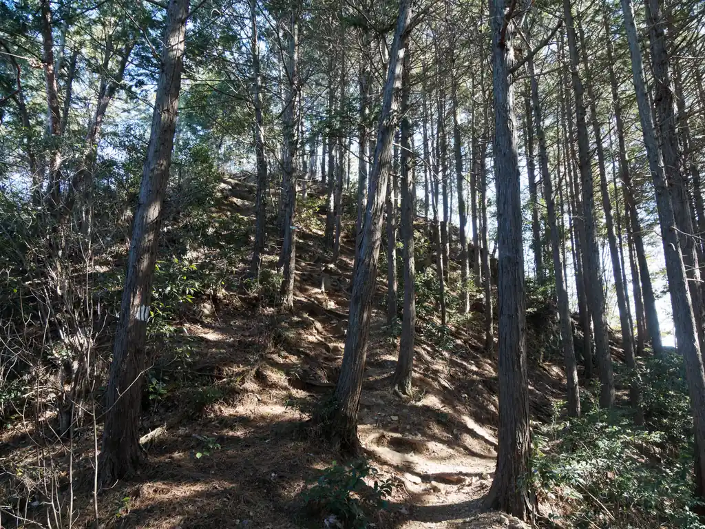 登り終えて少し歩くとスカリ山手前の急坂。
こちらもなかなかだが、距離は短い。山頂手前は少し岩っぽいが、通過は容易。