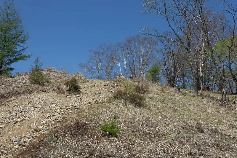 いよいよ鷹ノ巣山山頂が見えてきた。