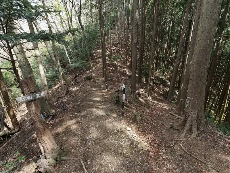 坂道に突き当たる。
恐らくこれが天王山への登りだろう。
疲れているので巻きたい！というわけで、右側の巻道を歩いてみる。
