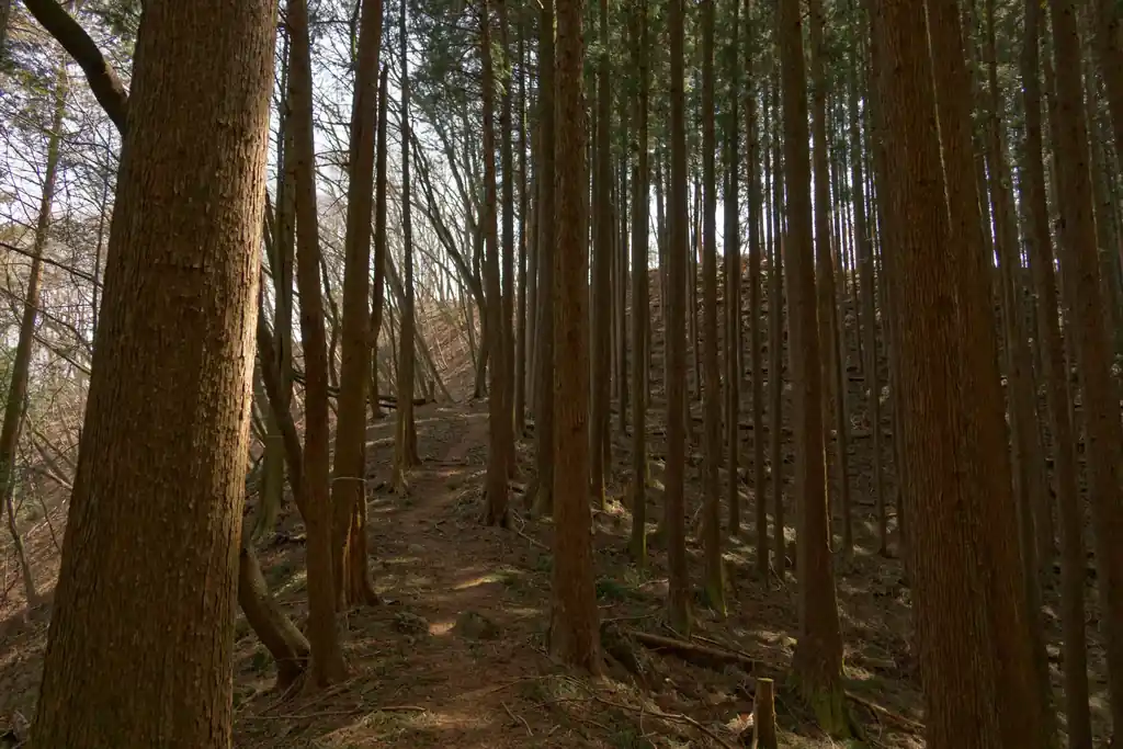 明るい尾根が見えてきました。