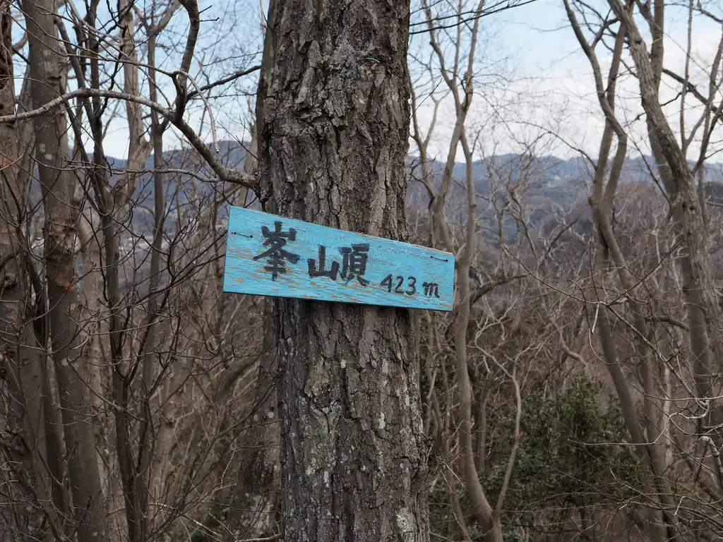 ようやく峯に到着。
ここが本日もっとも見晴らしの良いポイントなのだが…。