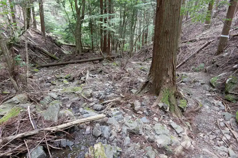 そのまま沢沿いに沿って道なりに下っていきます。
えらく倒木だらけの場所を通過して進んでいきます。