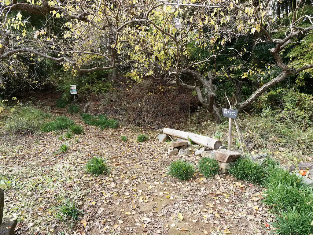 東屋から少し歩くとそこが登山口である。登山口には丸太のベンチとかもあったけど、だいぶ民家が近いので、やっぱり東屋でご飯を食べておいて良かったと思う。