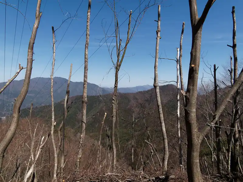こっちは倉見山かな。
写真にも少し写っているが、倉見山方面の斜面はなかなかな急斜面となっており、ロープが張ってある箇所も多い。
とはいえ、痩せ尾根、というほど狭い訳ではないので高所恐怖症の人でも問題なく歩けるのではないかと思う。