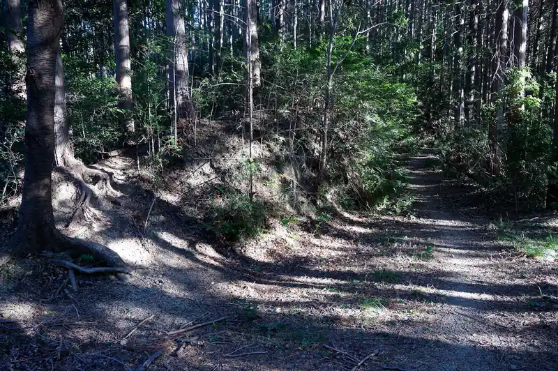 さて、ここで左の尾根へ登っていく踏み跡と、右のブル道、どちらを進むか。
前回は左の尾根へ登っていく踏み跡を歩いた記憶があるのだが、途中で道がわからなくなり藪へ突っ込んだ記憶がある。
ただ、ブル道を歩くというのもつまらないような気がする。
というわけで、左の踏み跡へ直行だ。この決断を、後で後悔することになる。