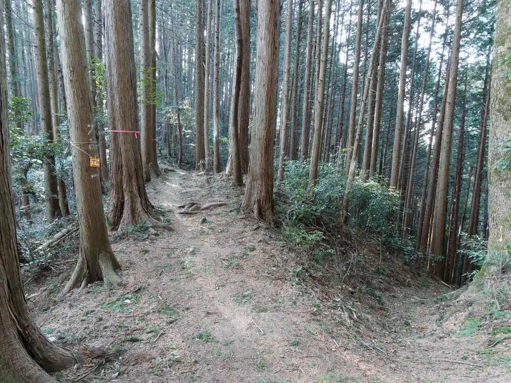 私は天覚山を目指して大高山方面の道を歩きます。