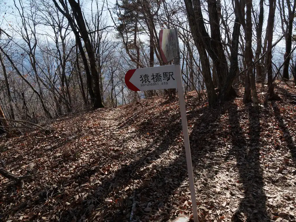 平坦なところに出るとすぐそこに猿橋駅への分岐。
ここが分県登山ガイド山梨にあった百蔵浄水場分岐だと思う。う～ん、この道、確かに急登な香りがするぞ。
