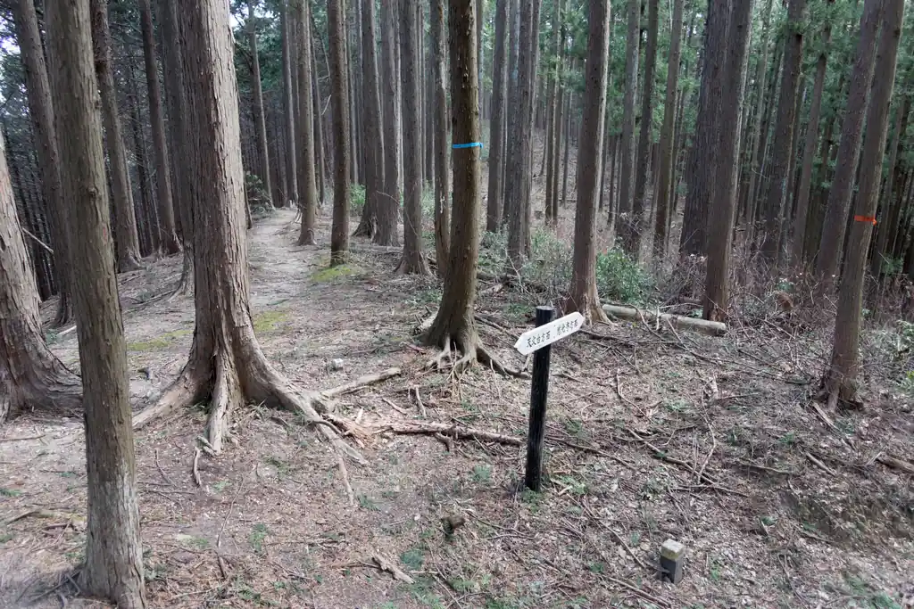 YAMAPだとここで分岐なんですが、私は指導標通り右に折れます。