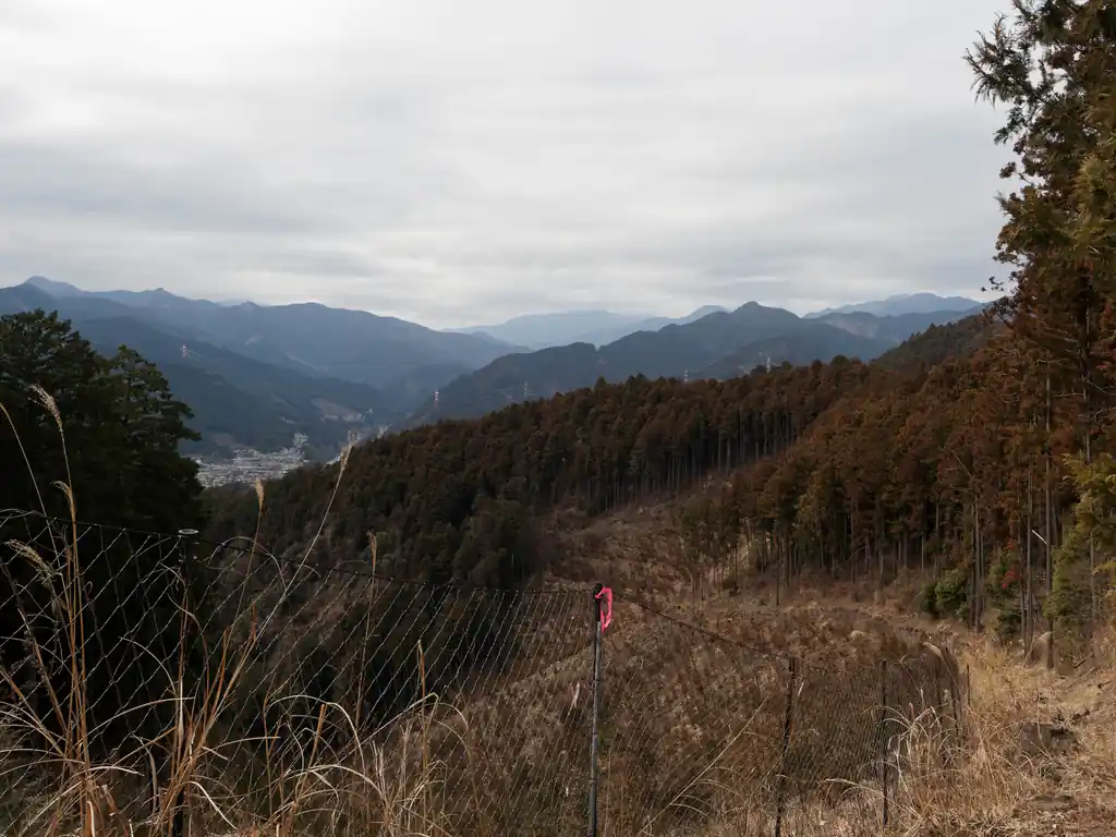 またまた伐採地。青梅丘陵、標高は低いもののなかなか楽しませてくれる良いコースですね。