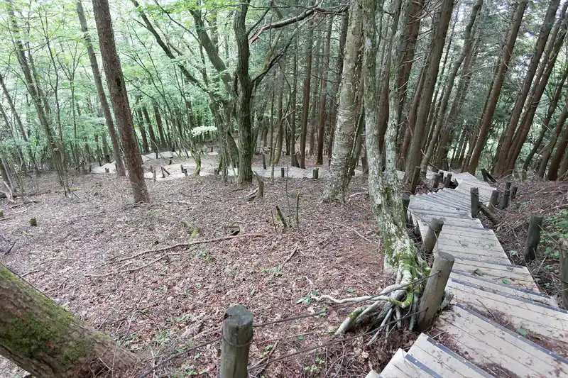 休憩が終わったら、栃寄沢方面へ下山する。
こちらも山頂直下は木の階段になっており、よく整備されていることがわかる。
