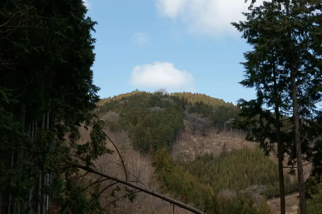 写真中央のあたりがたぶん日の出山だと思うんだけどどうかな。

日の出山まで結構長かったんですがいよいよ山が見えてくると嬉しいですね。