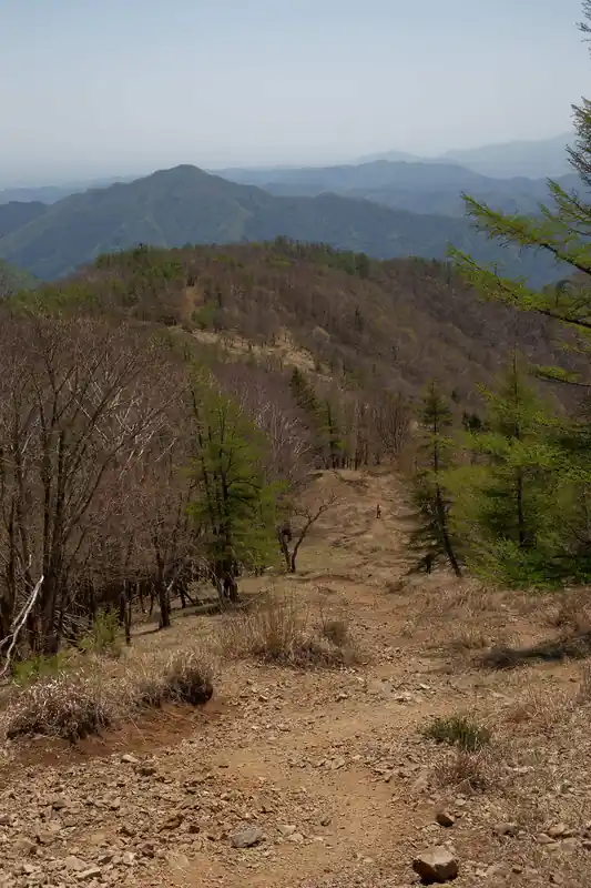 昼ご飯を食べて早速下山。石尾根は長いのだ。