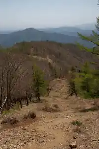 倉戸口バス停から鷹ノ巣山を歩く