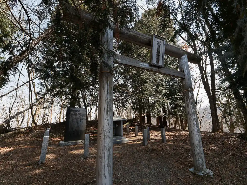 軍荼利山から降って登り返して軍刀利山。
ここは平らなスペースが広いがベンチ等の休憩に使えそうなものはまったくない。
