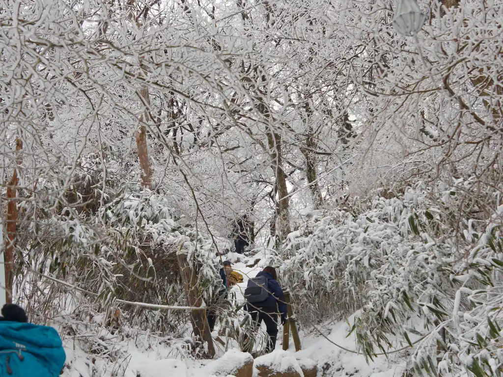 しかしこの女体山へ続く道は一面真っ白。木が氷でコーティングされて、その上に雪がついていて幻想的。
こういうのは蔵王とか北海道とか、3000m級の山で見るもんだと思っていたので感動した。