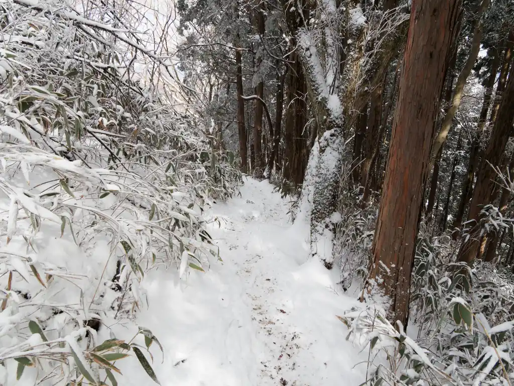 こちらの道は、登りで利用した御幸ヶ原コースに比べると、岩がなく、なだらかで歩きやすい。
難点は、筑波山神社までバスで来た人がこちらに降ってしまうと、帰りのバス停まで戻るのが大変だということ…。