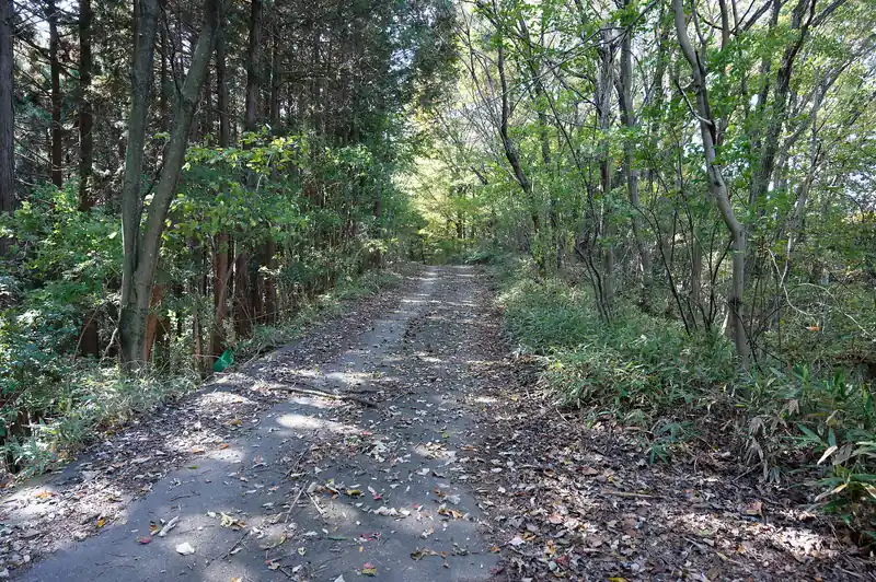 しばらくこんな感じの道が続きます。
