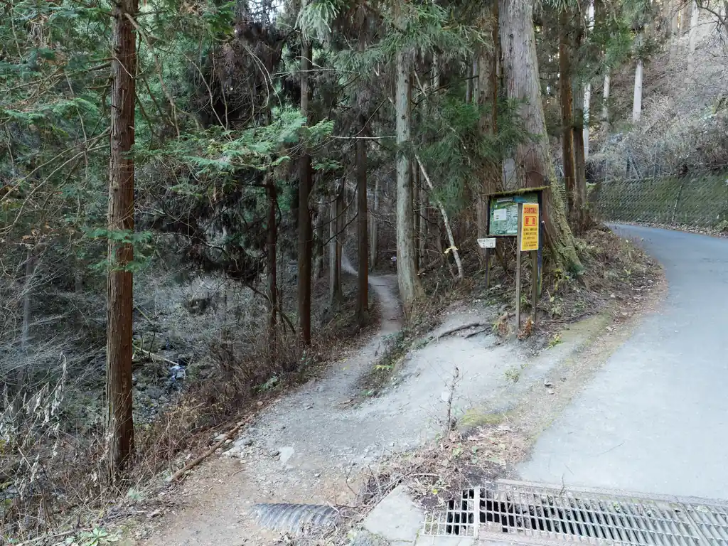 舗装路をしばらく歩いて登山口に到着。