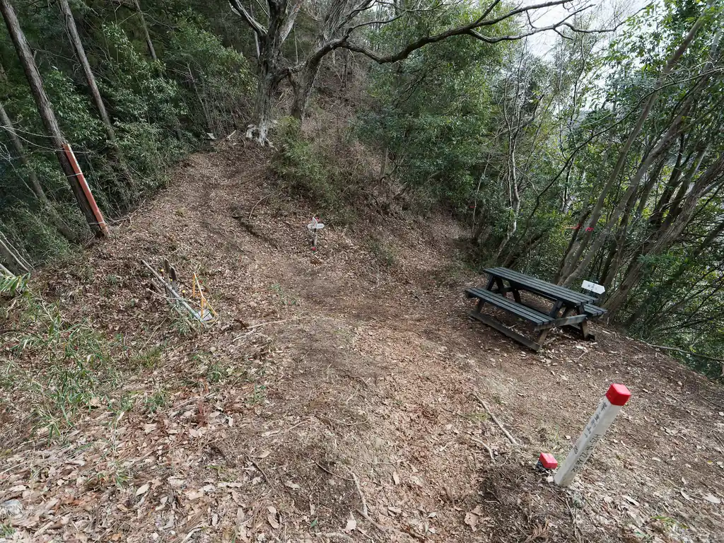 杉峠に到着。
先ほど峯で遭遇した登山者について歩いていたのだが、その方はここで鉢岡山方面へと消えていった。
鉢岡山は廃車がある有名なスポットがあるので、見ておけば良かったかな、とも思ったのだが、まああんまり興味ないしいいか、ということで。