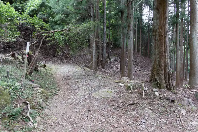 柵を超えてすぐのところに寂しょう尾根分岐。