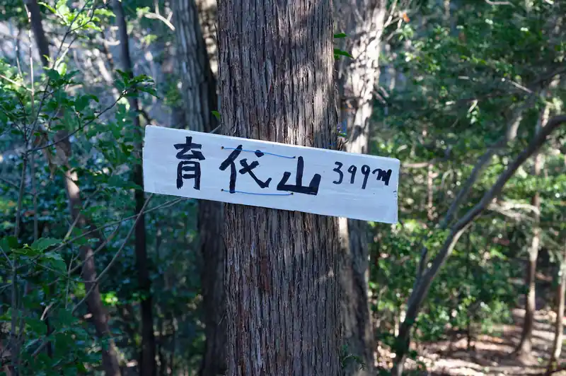 育代山に到着。
山頂標があるだけで他には何もない。