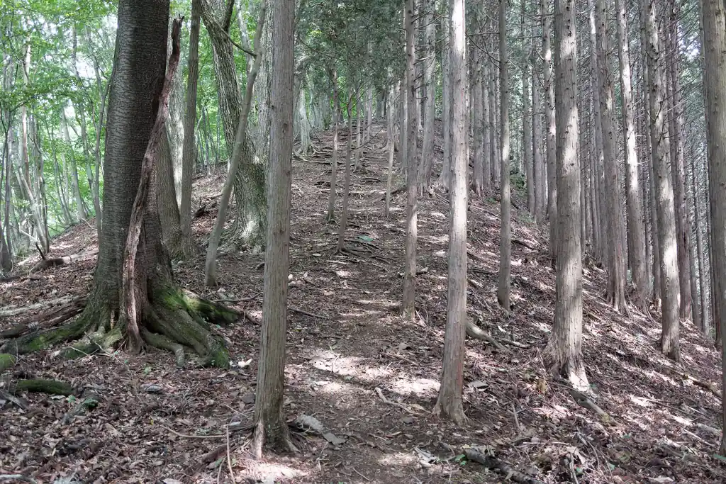 最後の登り。これを登ると浅間峠が見えてくるはず。だいぶ疲れていますが、なんとか登ります。