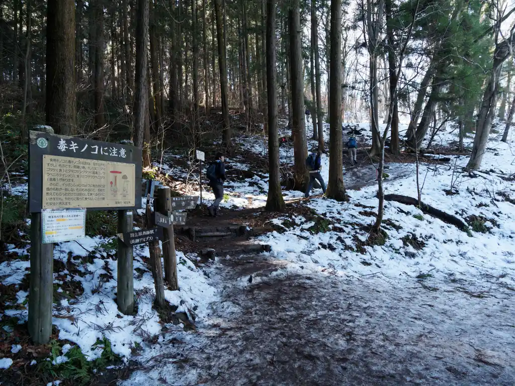 車道に出て、そのまま歩いていくと毒キノコ看板。
ここから宝登山に向かって一気に標高をあげていきます。
3回くらいきつい階段が登場しますが、頑張っていきましょう。