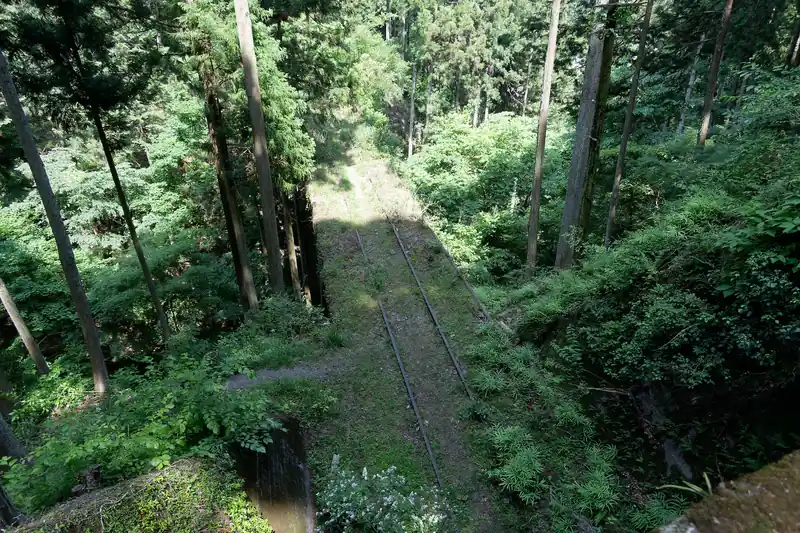 東屋から少し進むと山道に入る。ここも下に水根貨物線が走っている。
上の写真で少しだけ、写真左側に続く踏み跡のようなものがあると思うのだが、狭いトラバース道を歩いていくと線路に降り立つことができる。

折角なので、線路に降りてみることにした。
