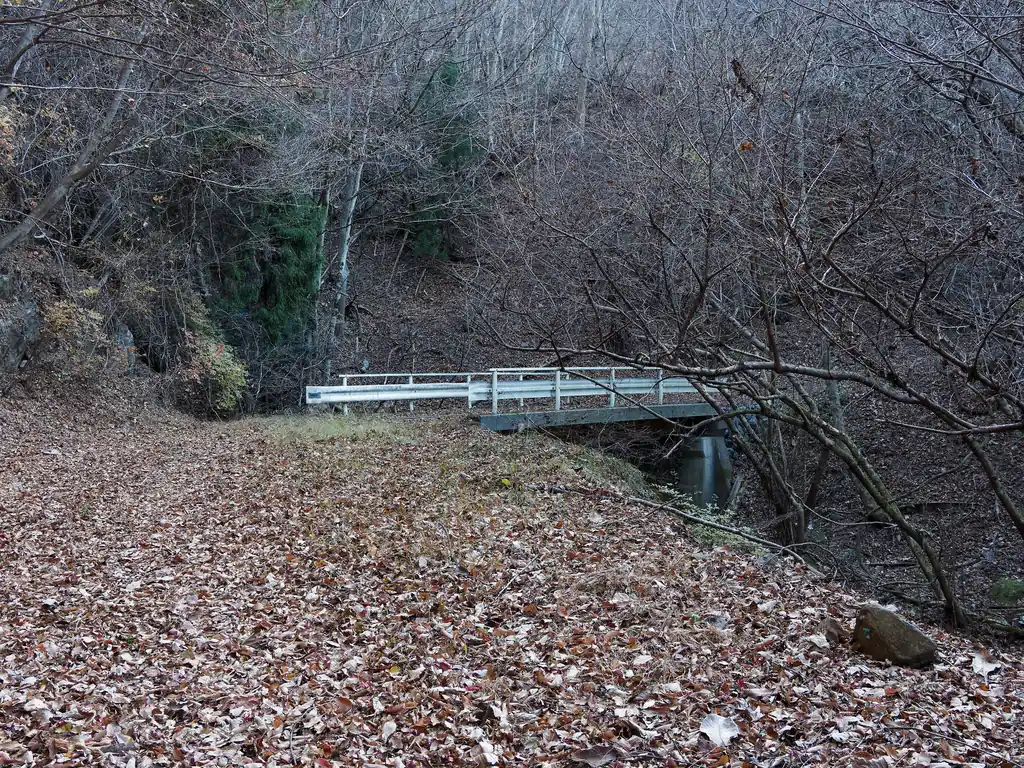途中しっかりとした橋が見えてきた。
結構車が行き来することがあるんだろうか？