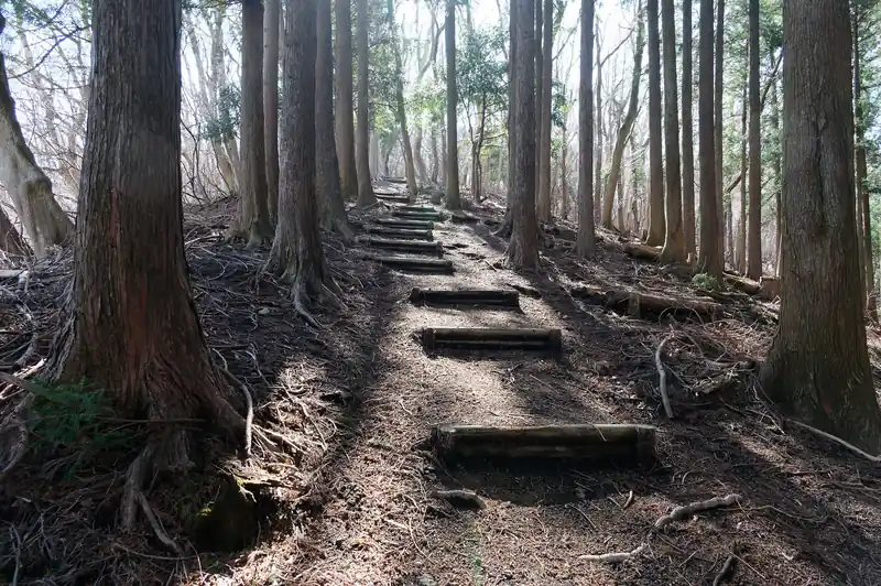 のんびりした登り続きます。