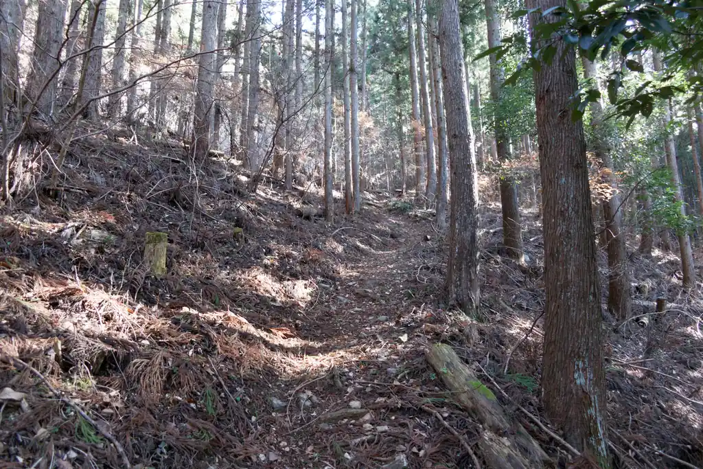 笠山に出るまでずっと登り調子です。