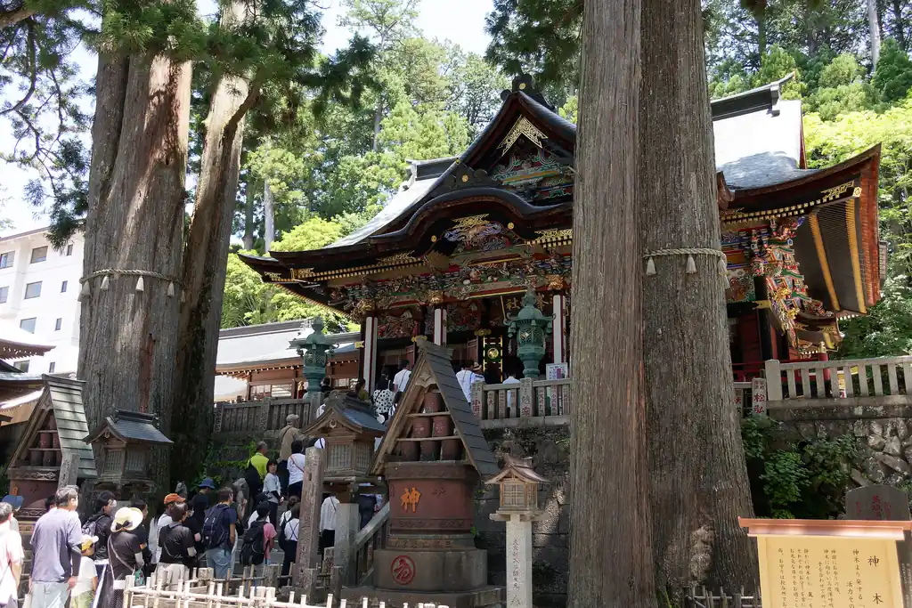 意匠が凄い。そしてこんな山奥の神社にこんなに参拝者がいるなんて。やっぱり人気ですねえ。