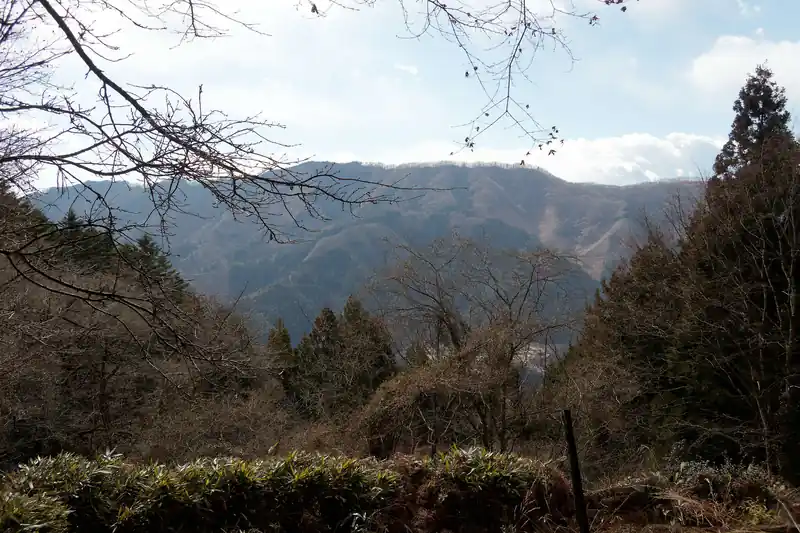ここは木がないので向かいの笹尾根がよく見える。