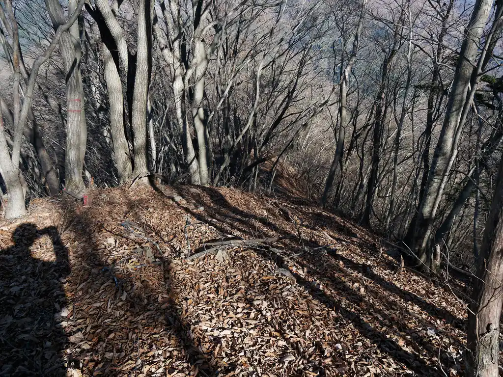 本格的な登りとなる。上の写真は振り返って撮影したもの。
この登りがなかなかにきつい。捕まれる良い感じの木もそれほどなくて、ここを下りで使うのは結構怖いんじゃないかと思う。
一本だけ、根がぐらぐらしていて力強く引っ張ったら抜けそうな木があったので、木に捕まる際は気を付けた方がいい。