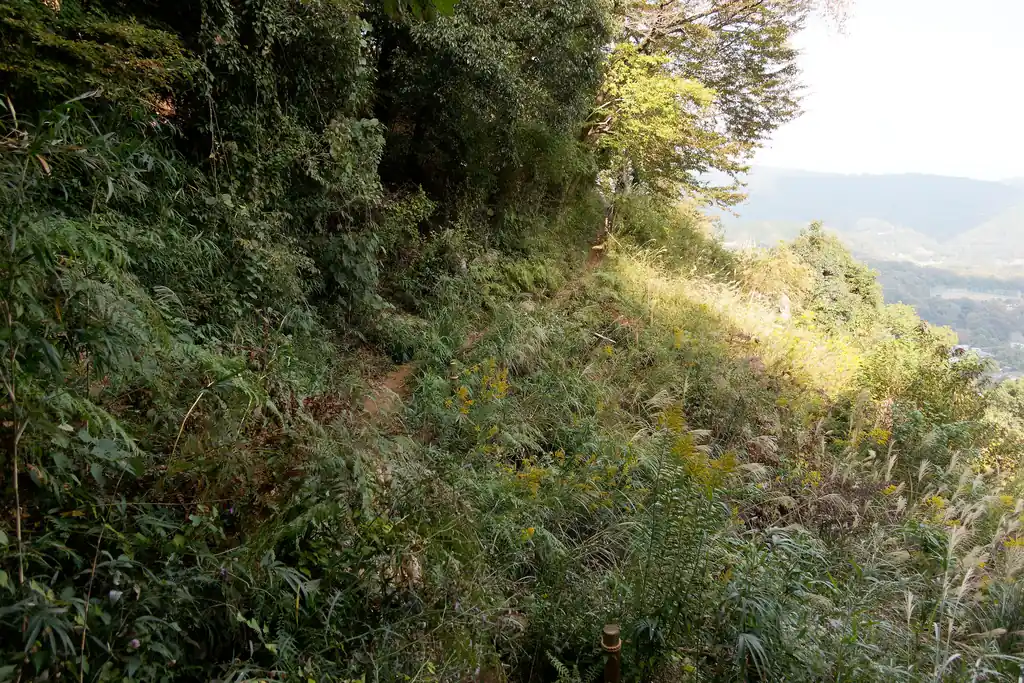 すっかり雑草が繁茂して登山道にせり出している。