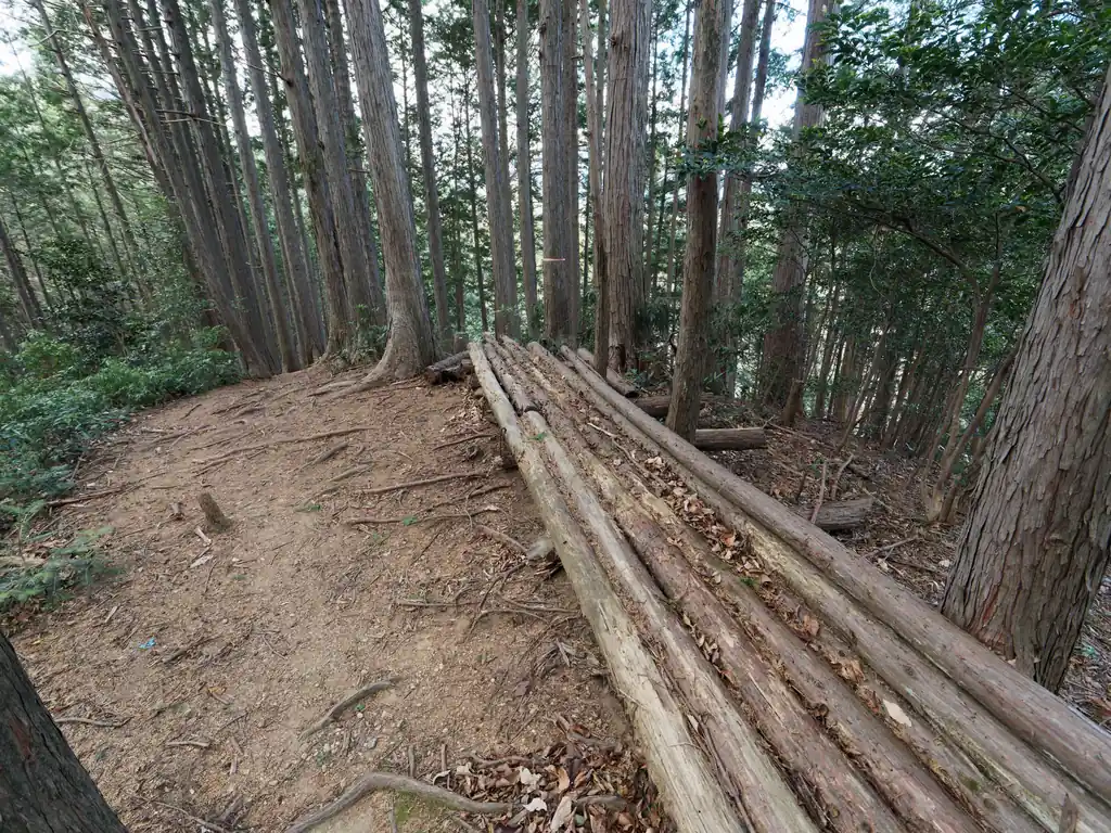 途中倒木を置いて作られてような簡易ベンチもある。
