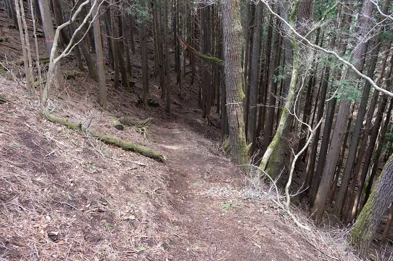 ここで尾根を歩く道と沢沿いに下る道の分岐。
写真の通り沢沿いの道へ歩いていく。