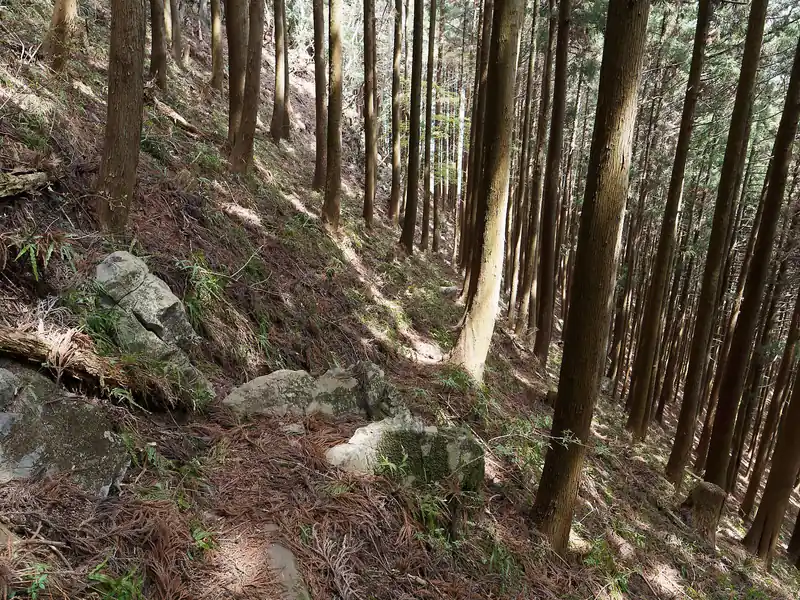 まあトラバース道なんで狭いけど。