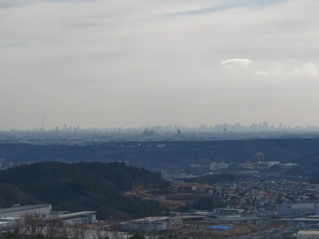 この日は曇っていて、そんなに遠くまで見渡せないかな～と思っていたものの、都心のビル群やスカイツリーまで見えたので思いのほか空気は澄んでいたらしい。